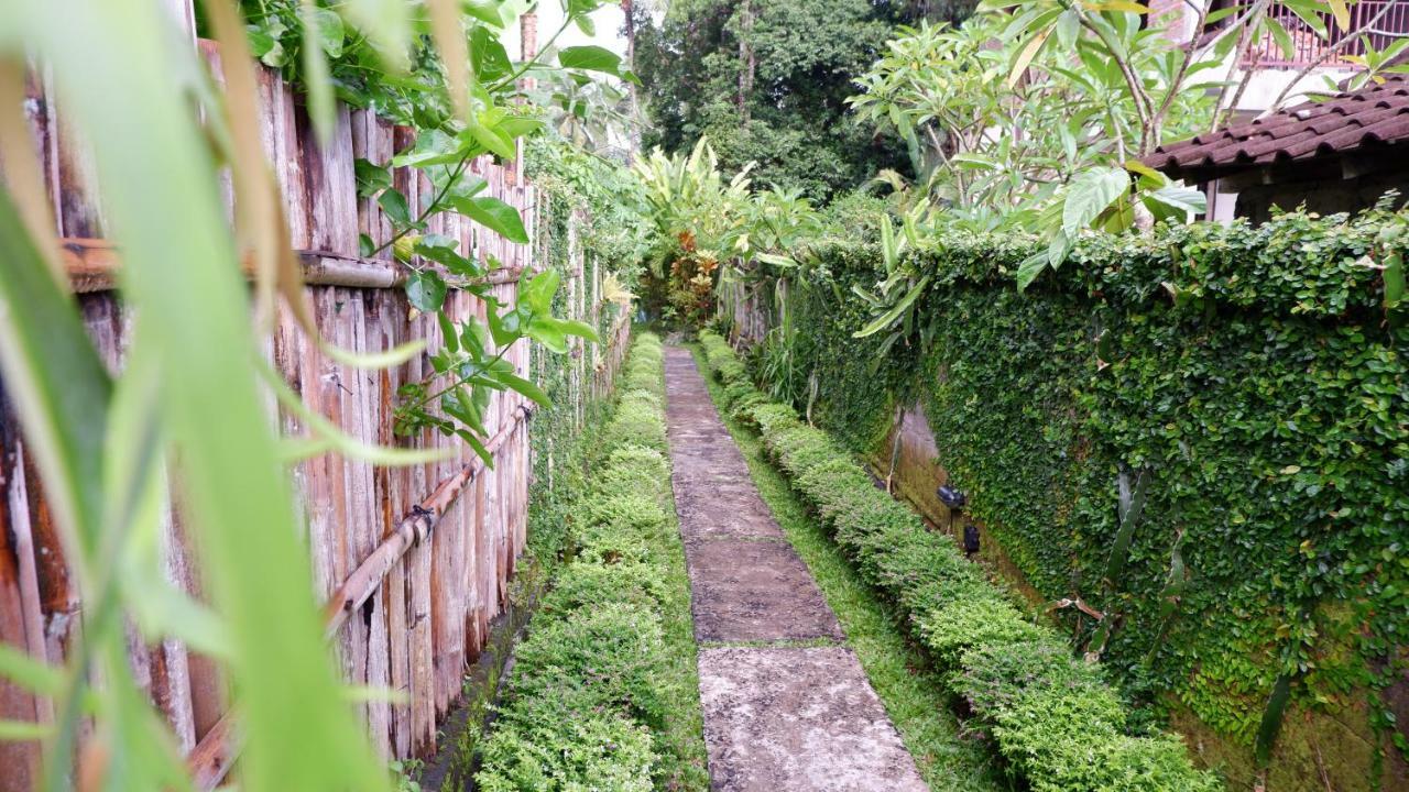 Maison d'hôtes Junjungan Ubud